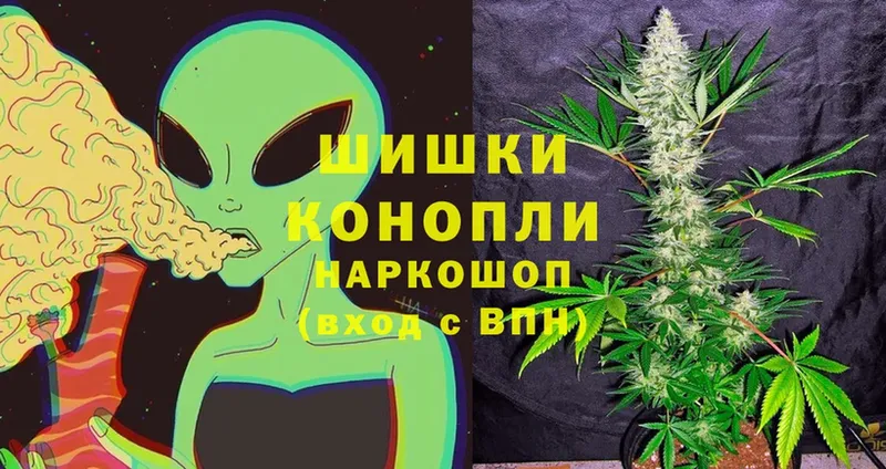 продажа наркотиков  Калач-на-Дону  Каннабис SATIVA & INDICA 